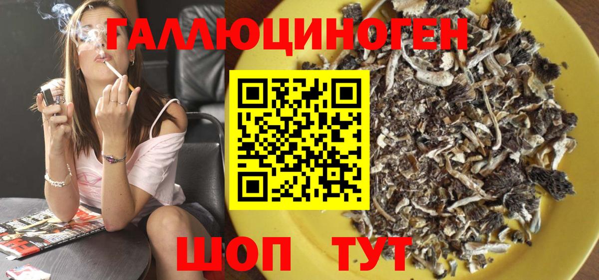 Псилоцибиновые грибы GOLDEN TEACHER  Псилоцибиновые грибы мицелий  Вход с VPN  Елец 