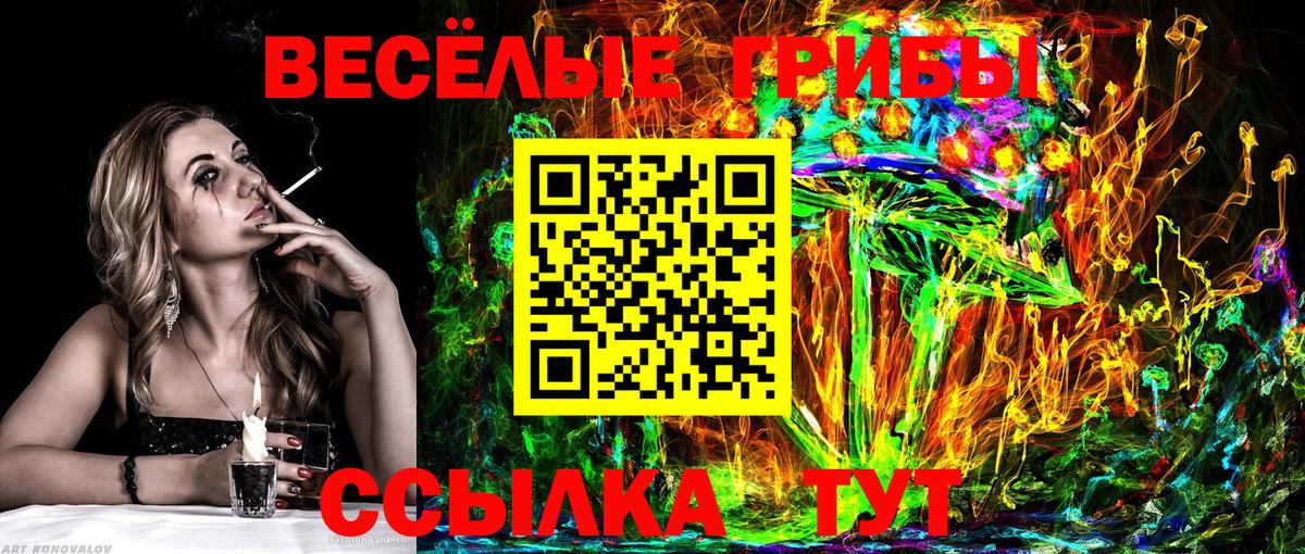 Бошки Шишки Елец