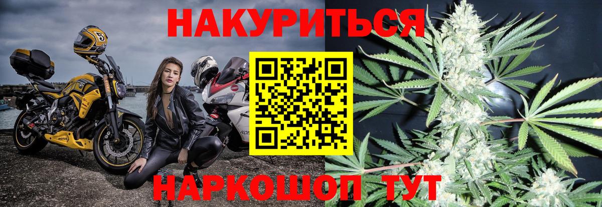Бошки марихуана Amnesia Елец